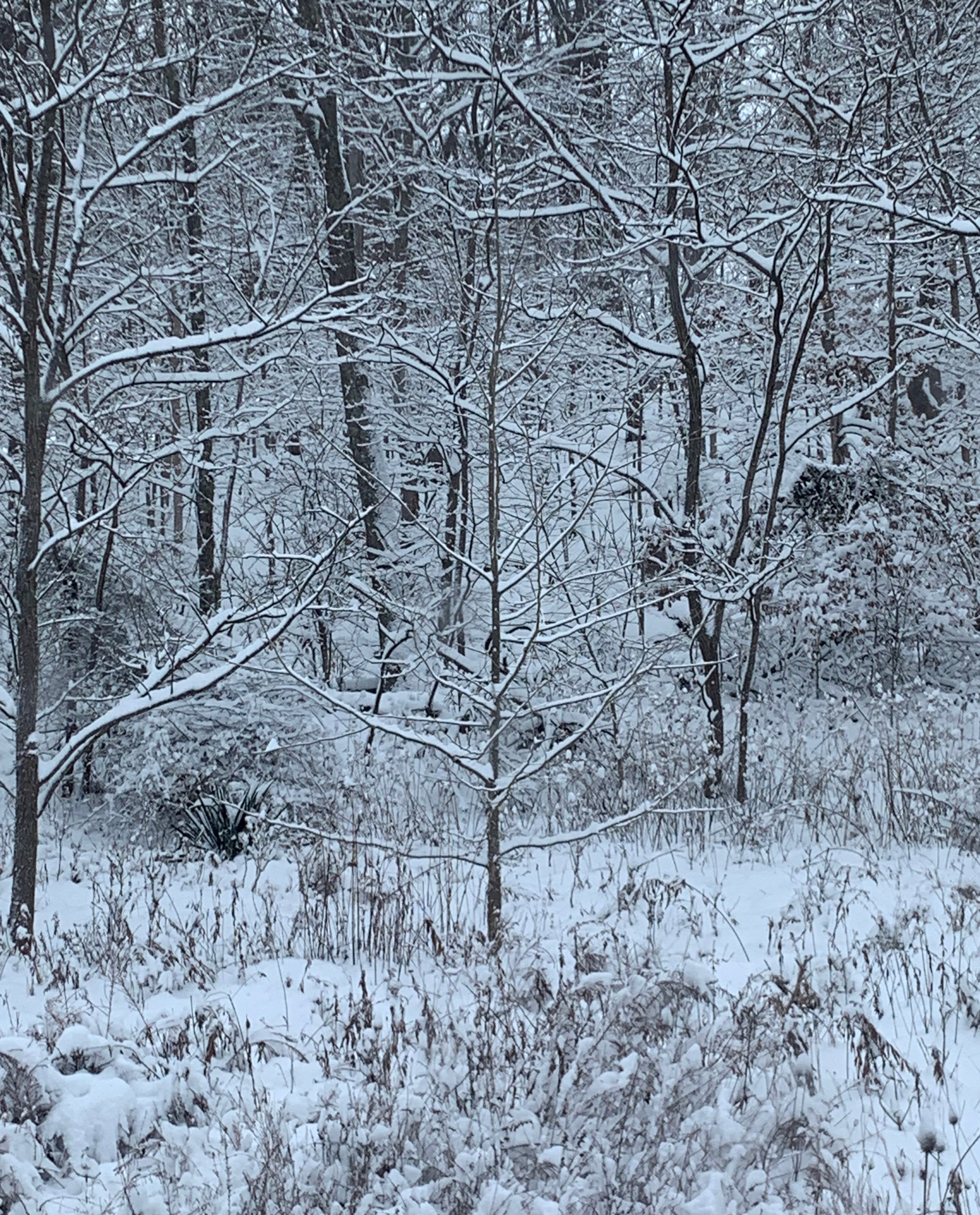 63060373675__9877F08C-93EB-49B8-841E-29077A6DDA93